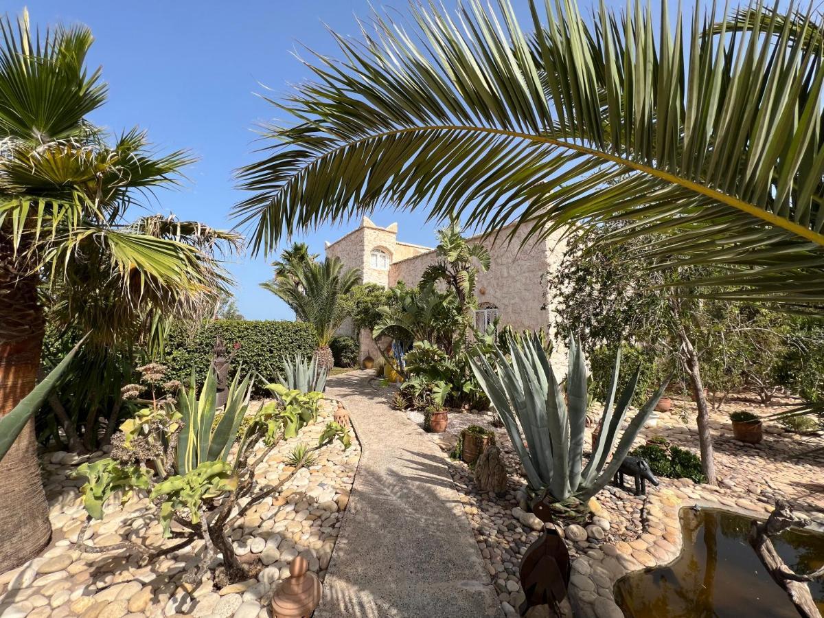 Dar Macha Otel Al Ghar Dış mekan fotoğraf