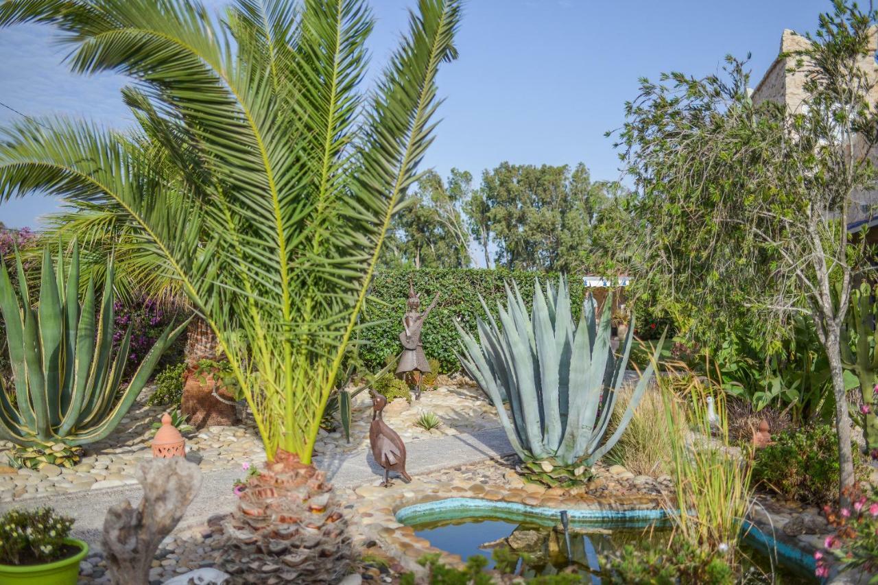 Dar Macha Otel Al Ghar Dış mekan fotoğraf